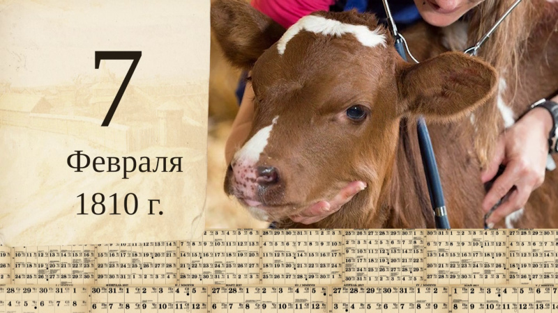 Томский календарь: первый ветеринар. Томское время | Телеканал