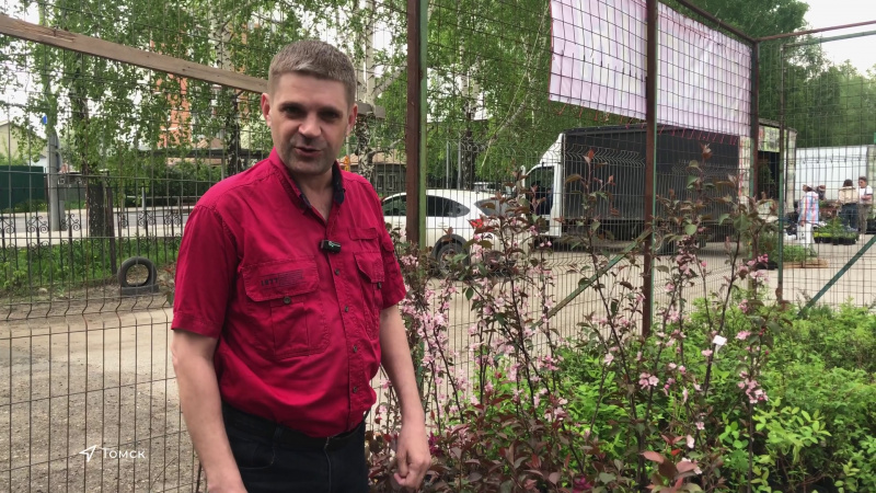В Томске прошла ярмарка семян. Томское время | Телеканал