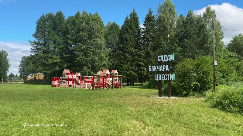 В Бакчаре установили гигантские ягоды жимолости. Томское время | Телеканал