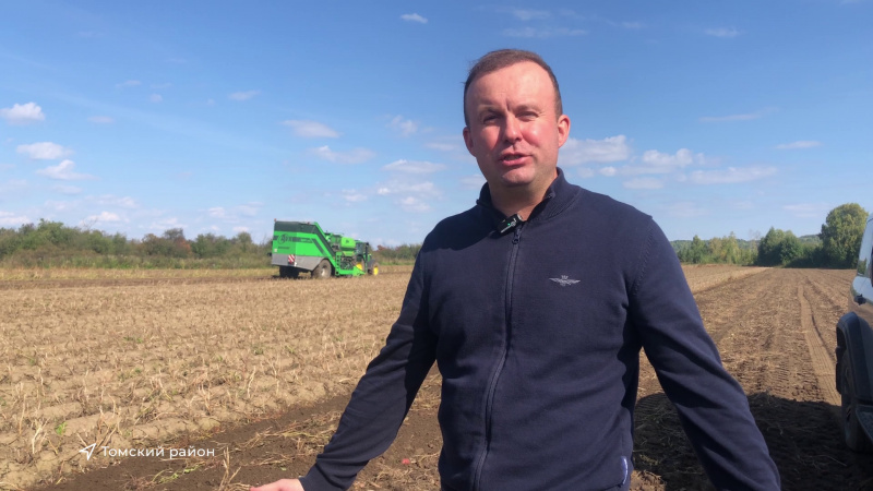 На томских прилавках появился картофель нового урожая. Томское время | Телеканал