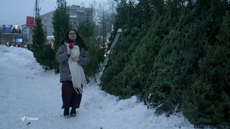 В Томске заработали ёлочные базары. Томское время | Телеканал