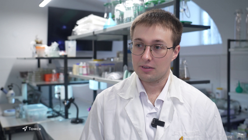 Аспирантам томских вузов вручили именные стипендии. Томское время | Телеканал