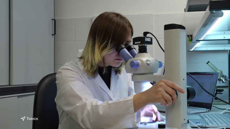 Учёные ТГУ провели эксперимент с синтетической одеждой. Томское время | Телеканал