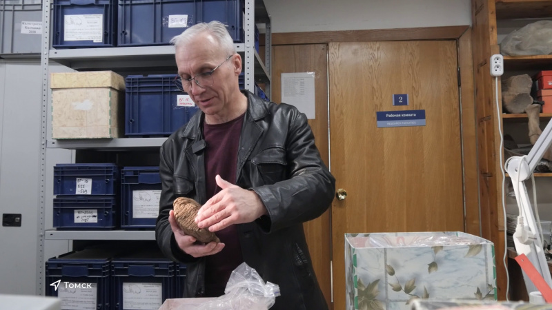 Мамонты вымерли из-за нехватки минералов. Томское время | Телеканал