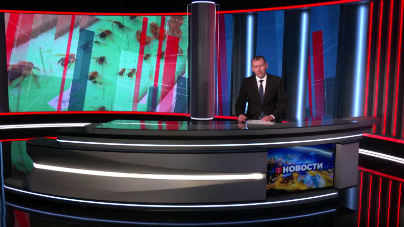 Выпуск новостей 29.01.2026. Томское время | Телеканал