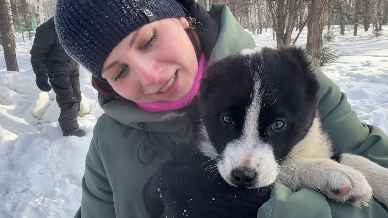 Мохнатый кросс прошёл в Михайловской роще Томска. Томское время | Телеканал