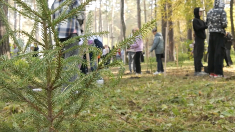 В Томске состоялся первый фестиваль «ЭкоПросвет». Томское время | Телеканал