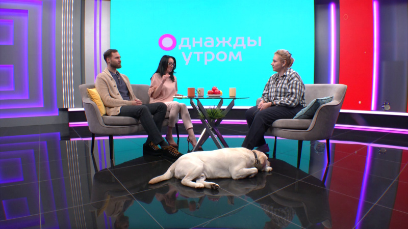 Однажды утром: собака-терапевт. Томское время | Телеканал