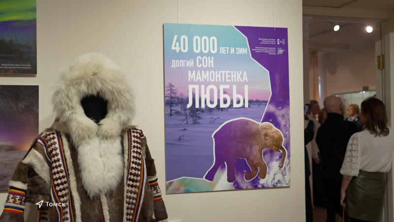 Томичи смогут увидеть мамонтёнка Любу. Томское время | Телеканал