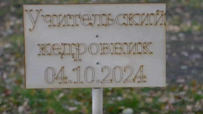 Учительский кедровник появился в Томске. Томское время | Телеканал