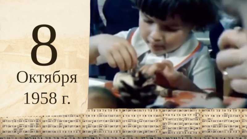 Томский календарь: «Из племени Кедра». Томское время | Телеканал