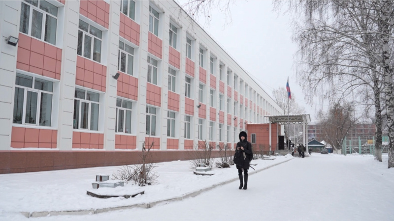 Свора собак оккупировала школу № 54 в Томске. Томское время | Телеканал
